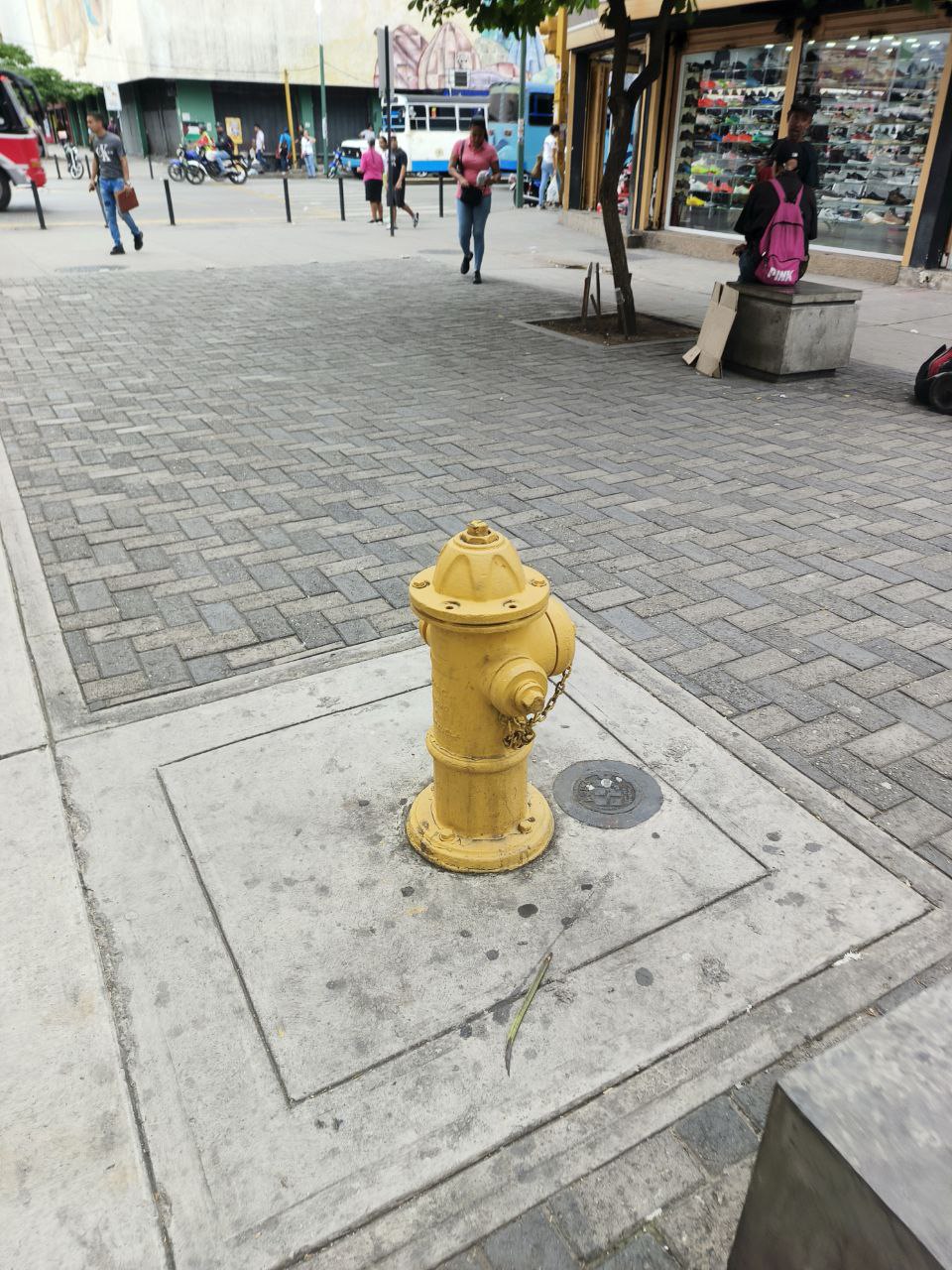 1000363043.jpg