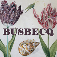 busbecq