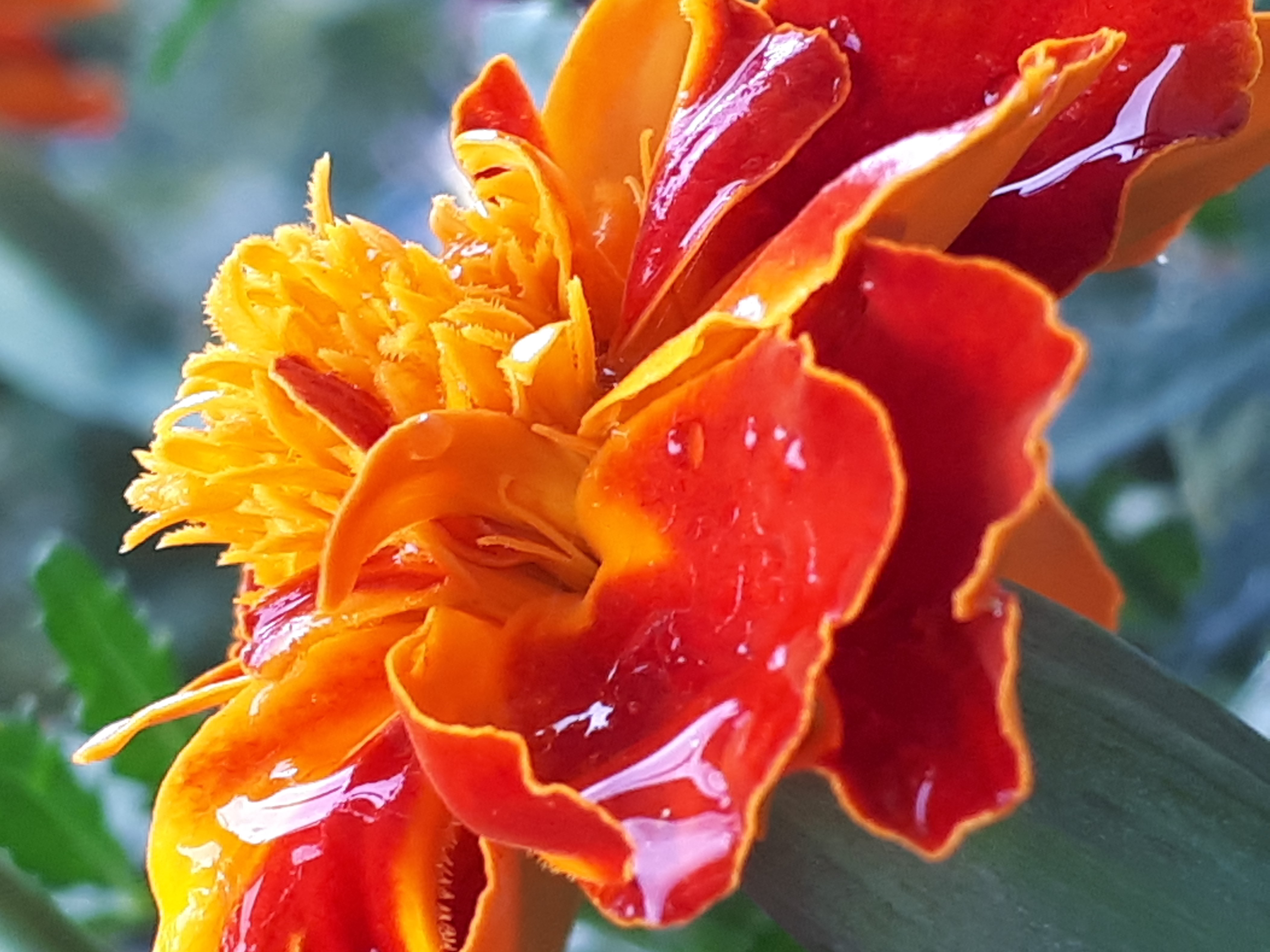 20190729_163716.jpg