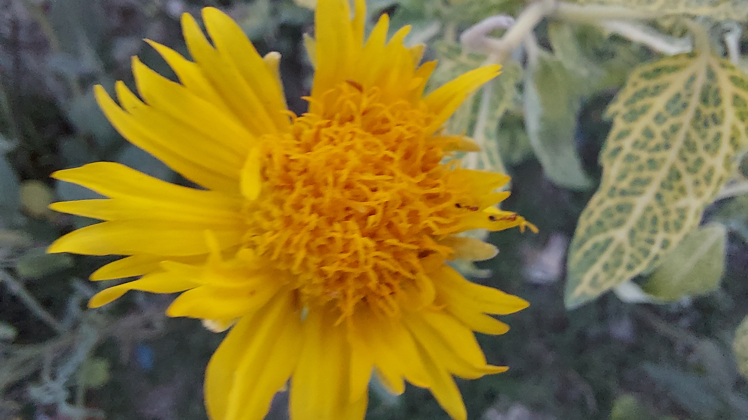 20210927_175700.jpg