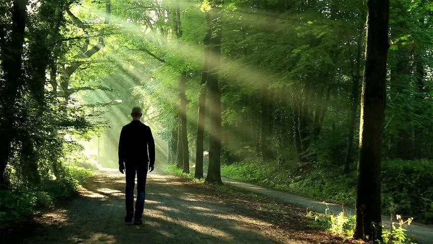 Into the tree. Man Walking Shadow down. Walk through the Trees. Walk the Path. Person Walking on a Path.