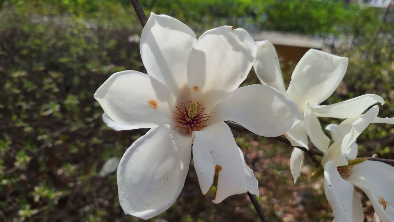 IMAGE 2026-06-13 06:50:47.jpg