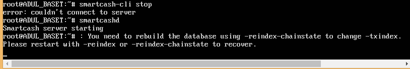 vultr_debug2.png
