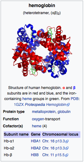 English-language_Wikipedia_infobox_for_hemoglobin.png