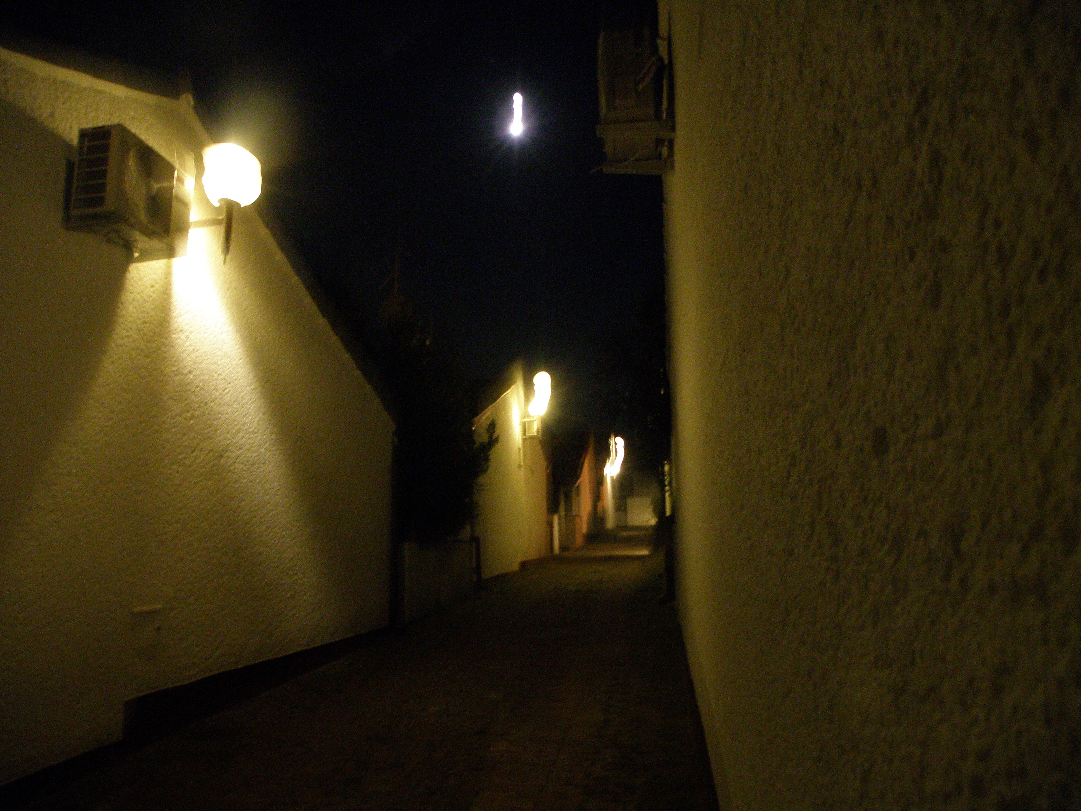 P1010395.JPG