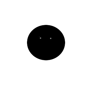 whitebackground