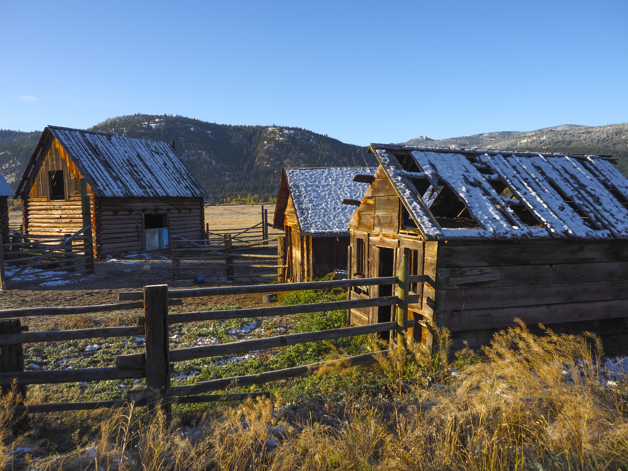 PA100025.jpg
