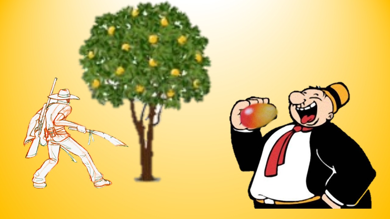 manta de mango.jpg