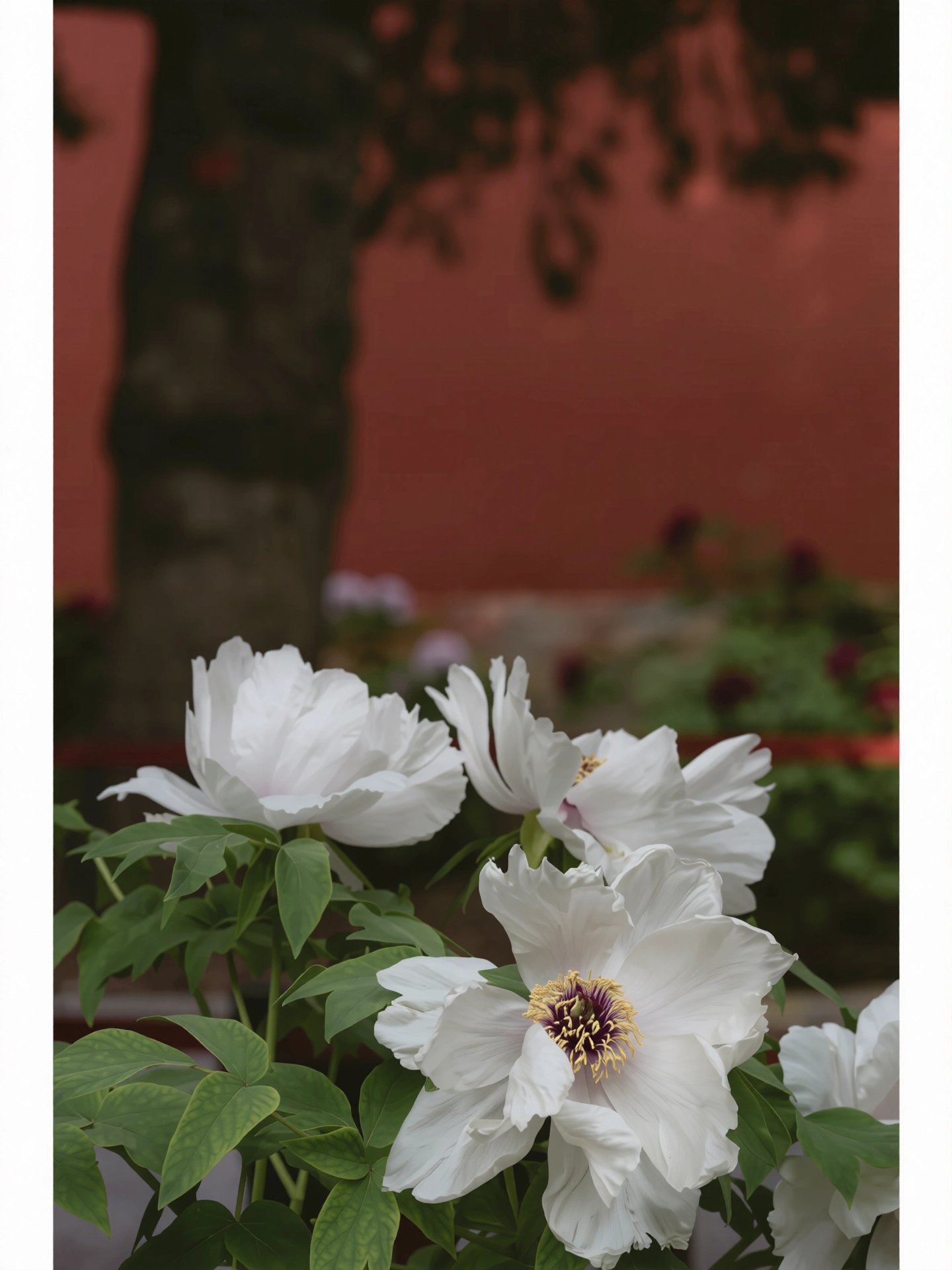 222.webp