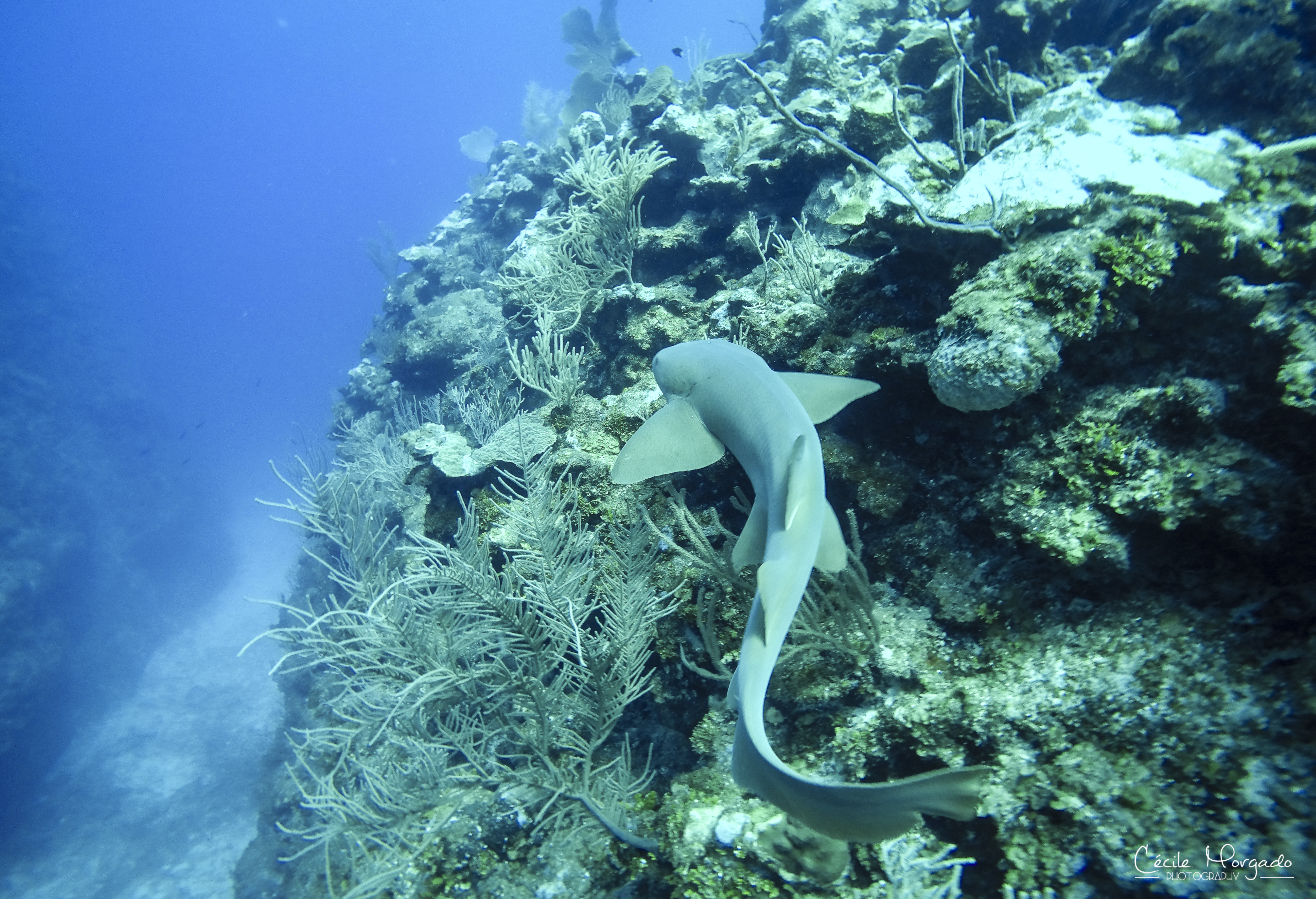GOPR1171-55.jpg