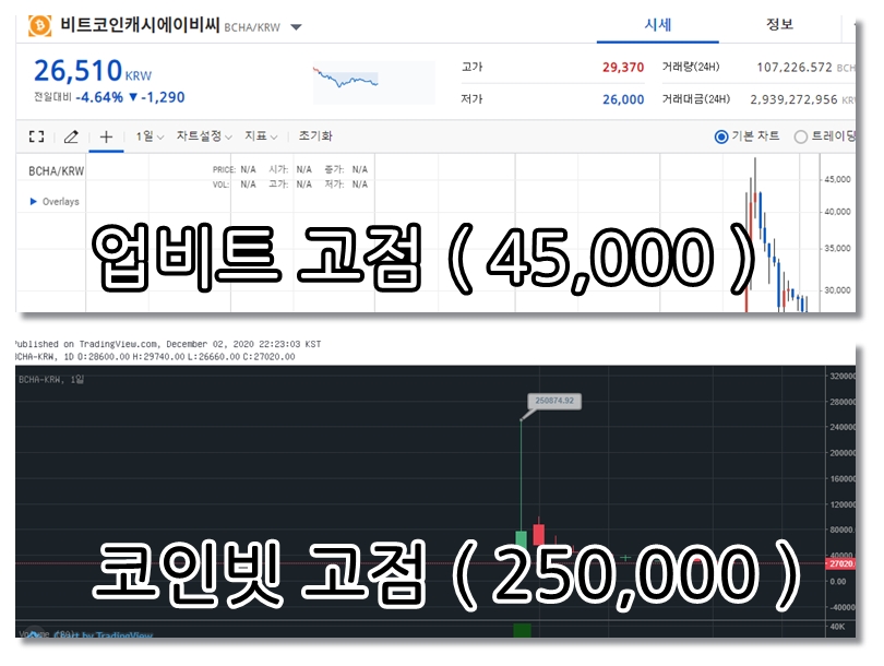 BCHA(코인빗).jpg