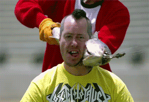 1034F401-7D3E-45CC-9A1A-14B62FD82C63.gif