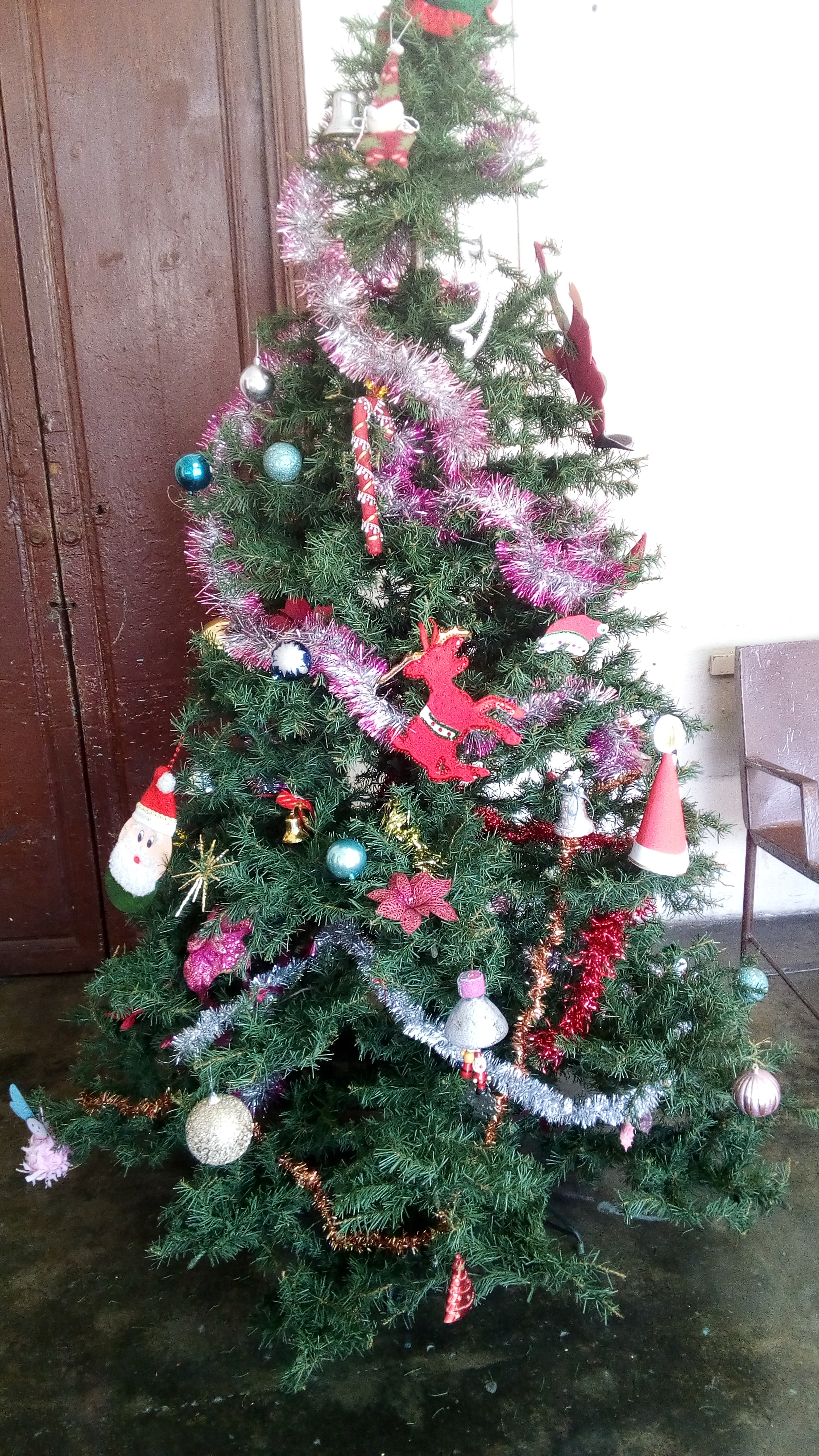 IMG_20201123_112446.jpg