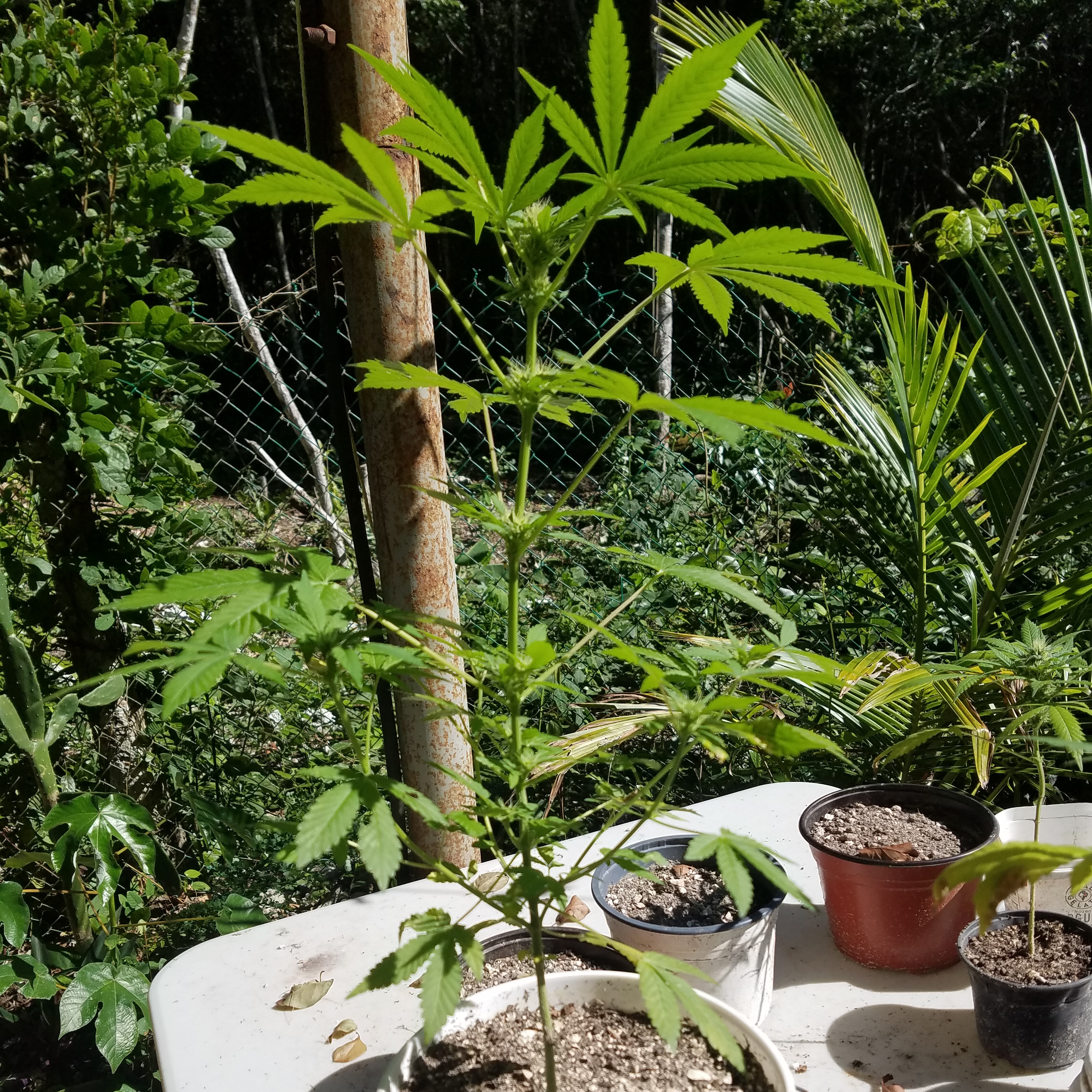 20190112_143136.jpg