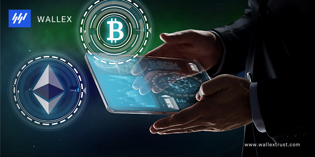 Wallex draft (1).png