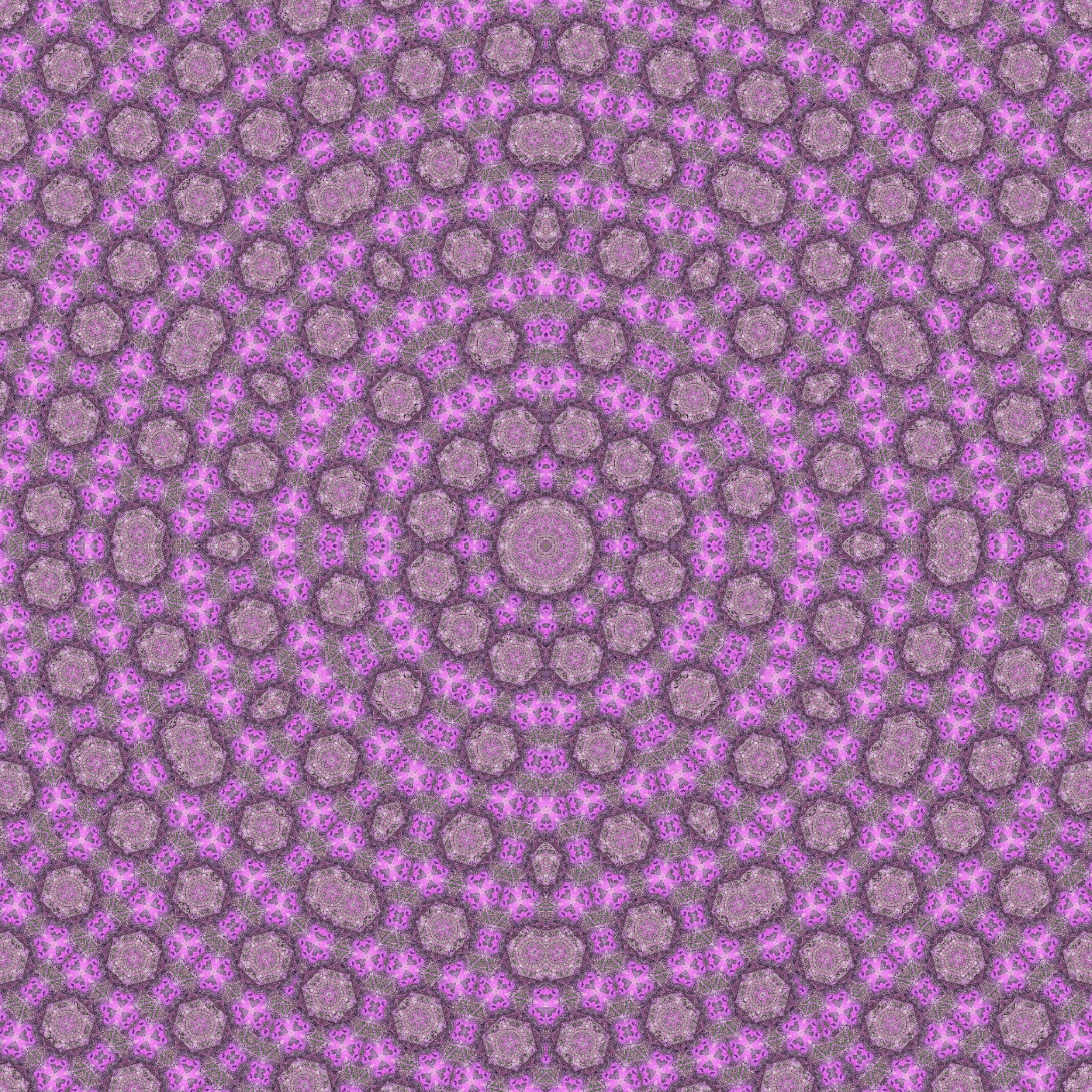 107049929_1135716173494921_6512234092908085963_n_mirror4.jpg