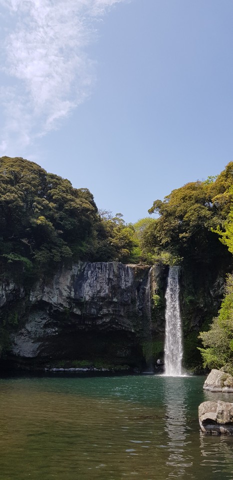 KakaoTalk_Photo_2019-04-22-15-06-52.jpeg
