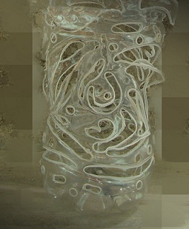 botellas 2.jpg