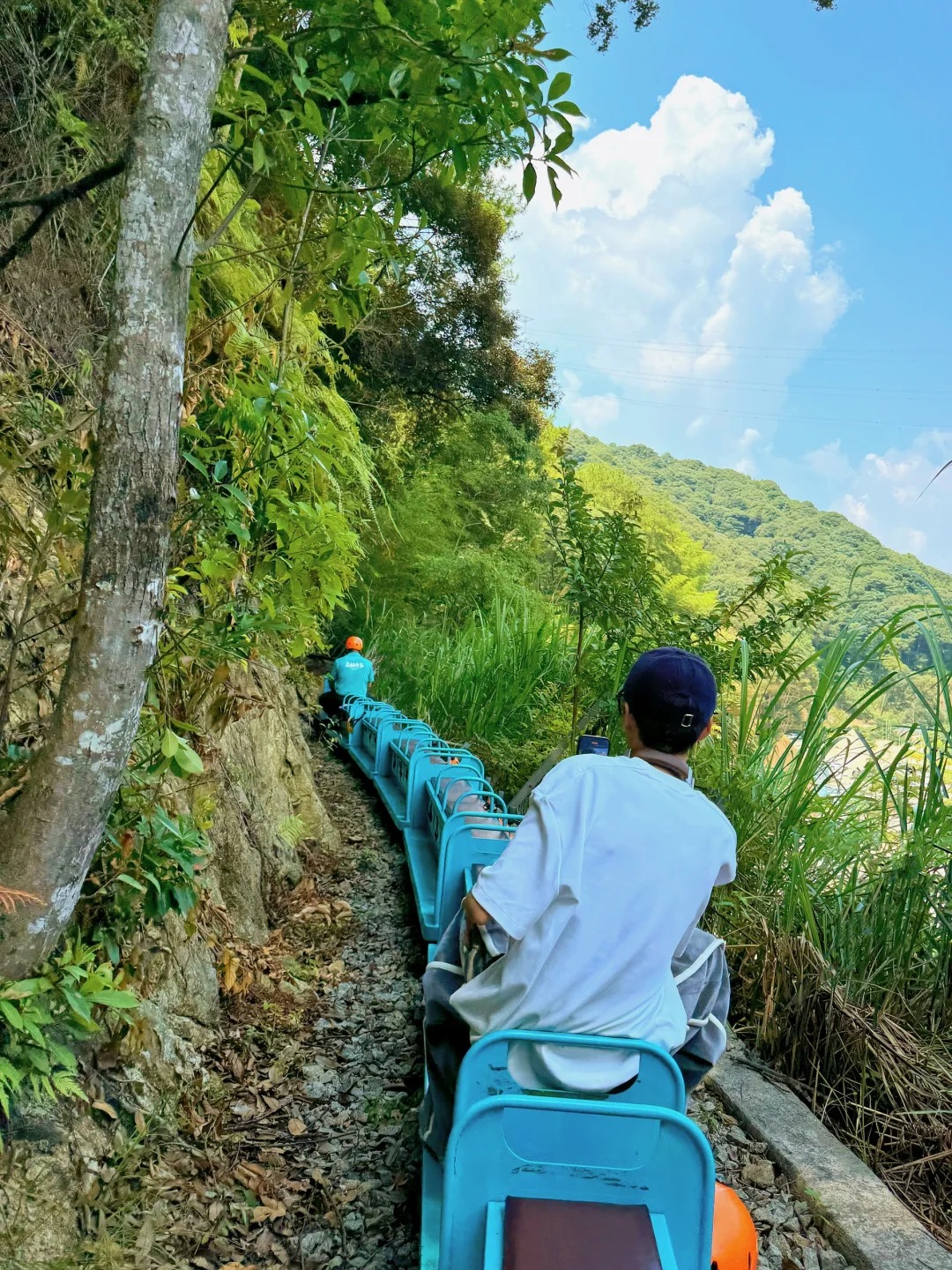 我宣布,这是福建最值得去的森林牧场~_8_tzu-hsiao_来自小红书网页版.jpg