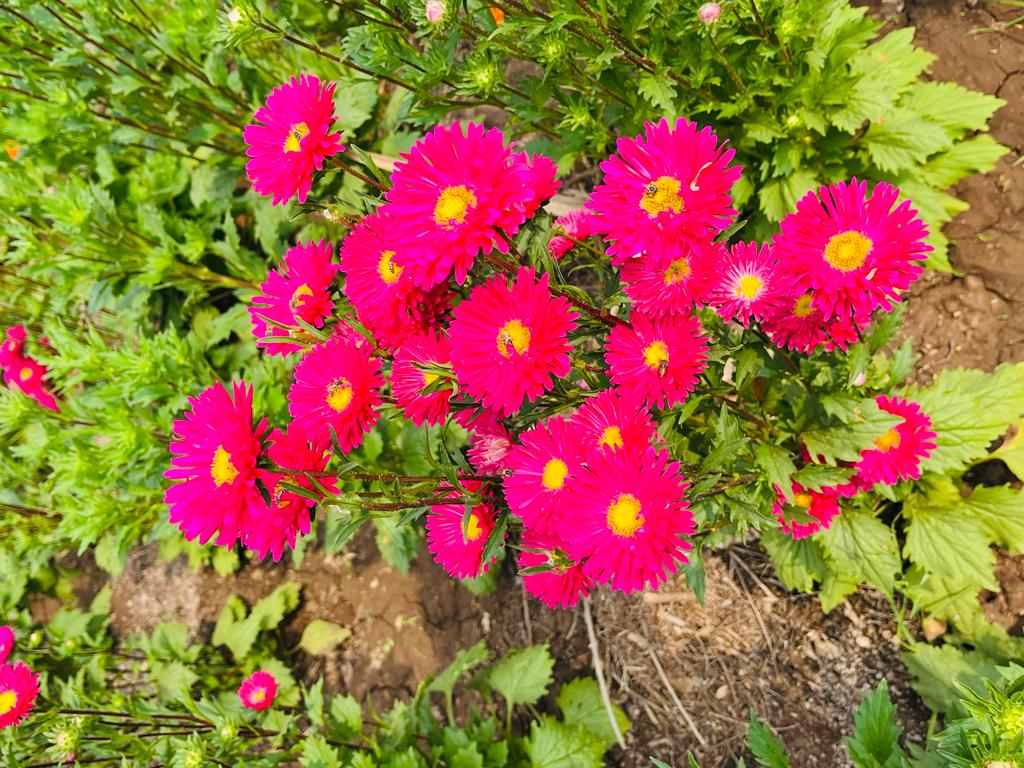 3e398ca1-656c-40c3-9df1-37a86b86229a.jpeg