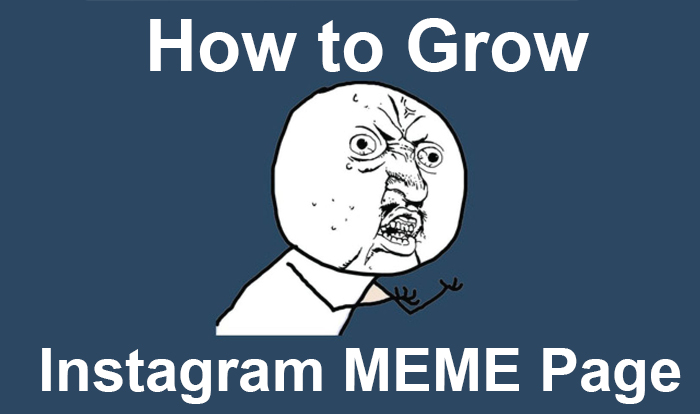How To Grow A Meme Page On Instagram From 0 To 50k Followers Organically Steemit