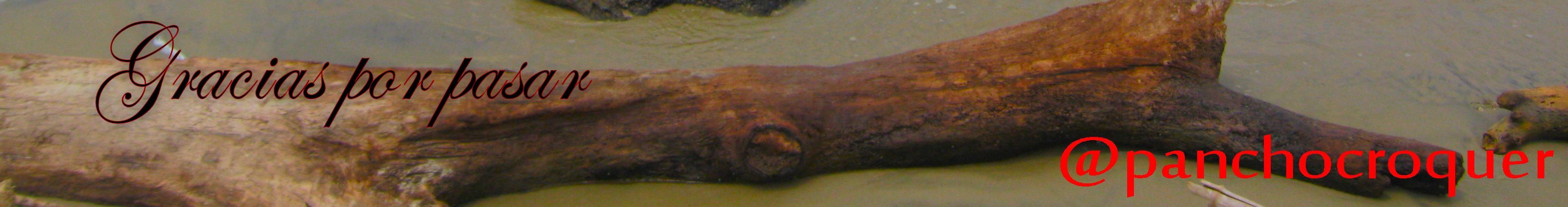 separador1.jpg
