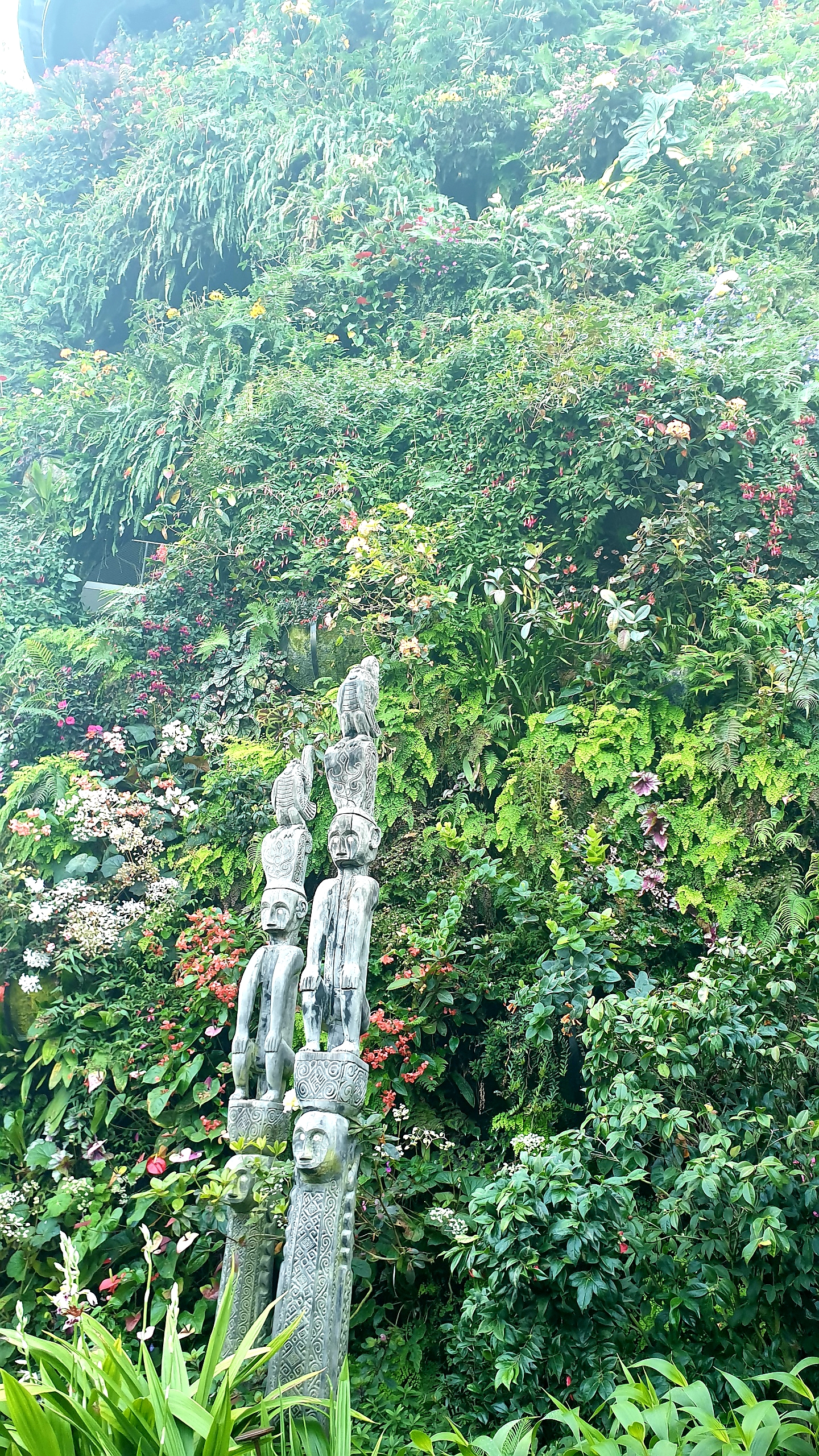 20190823_102517.jpg