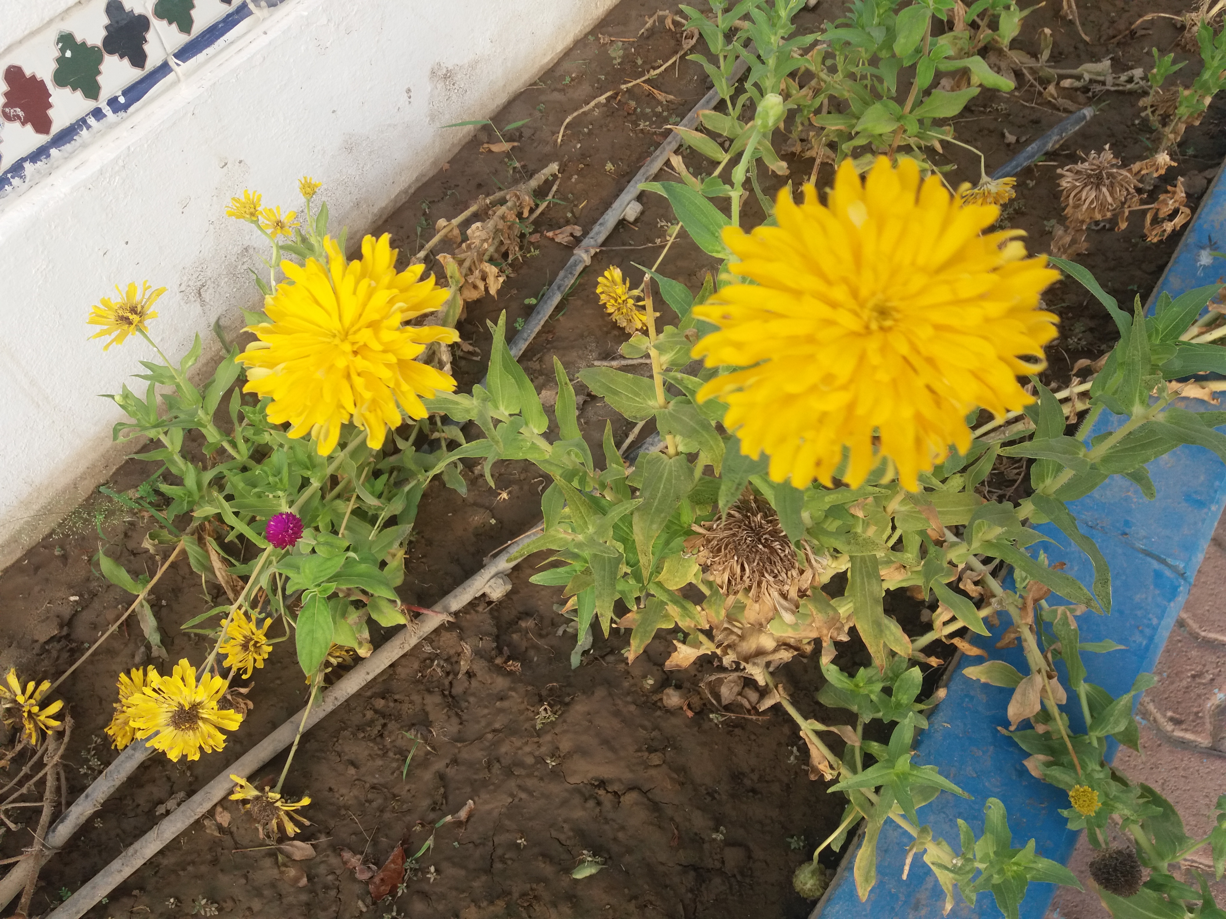 20190814_175150.jpg