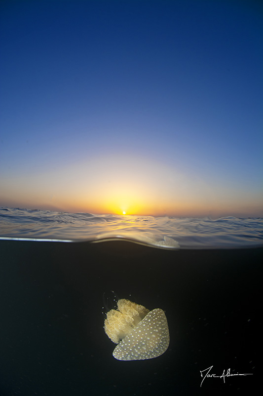 DSC_3591.jpg