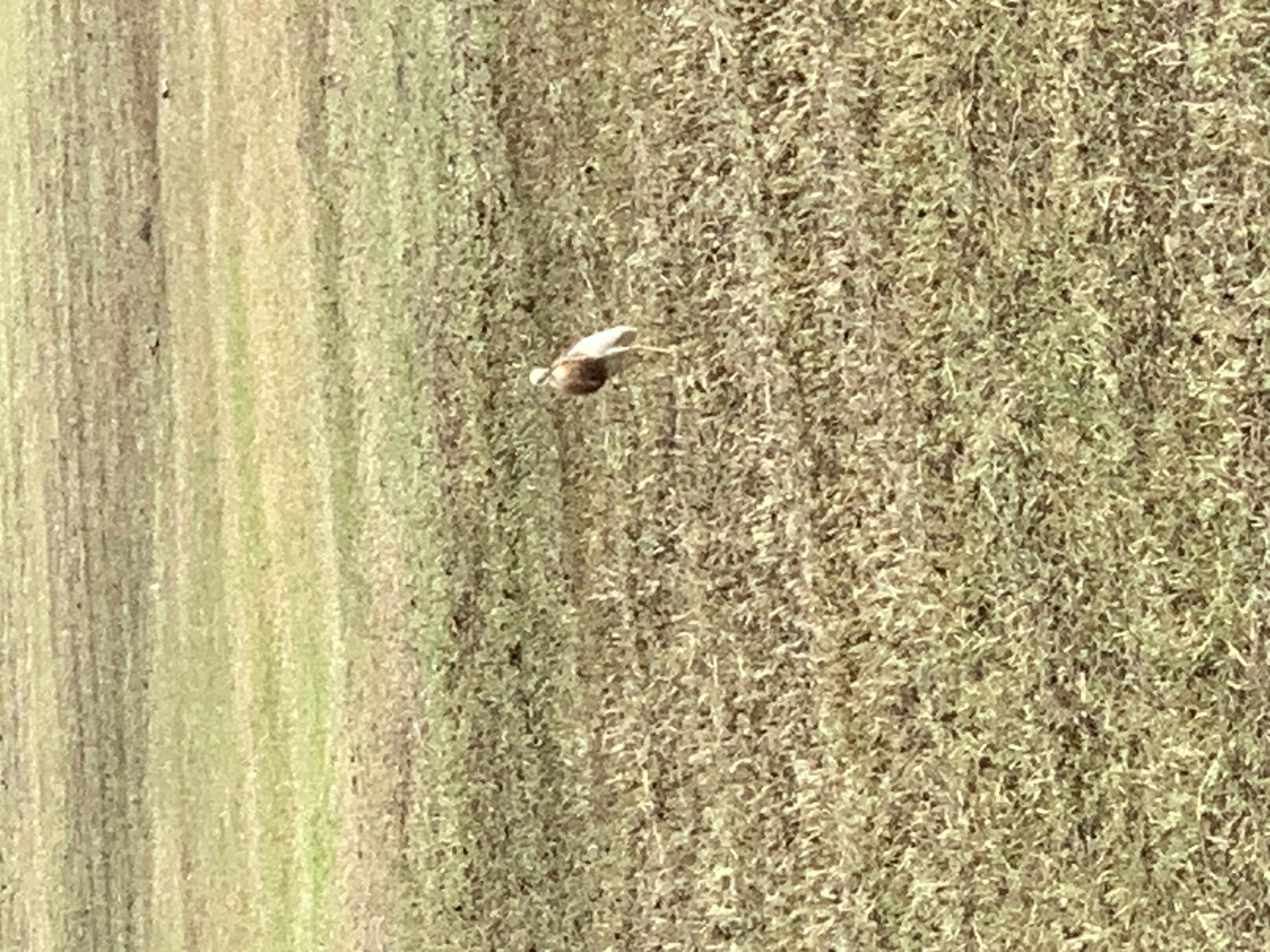 birdwatching spots28.jpg
