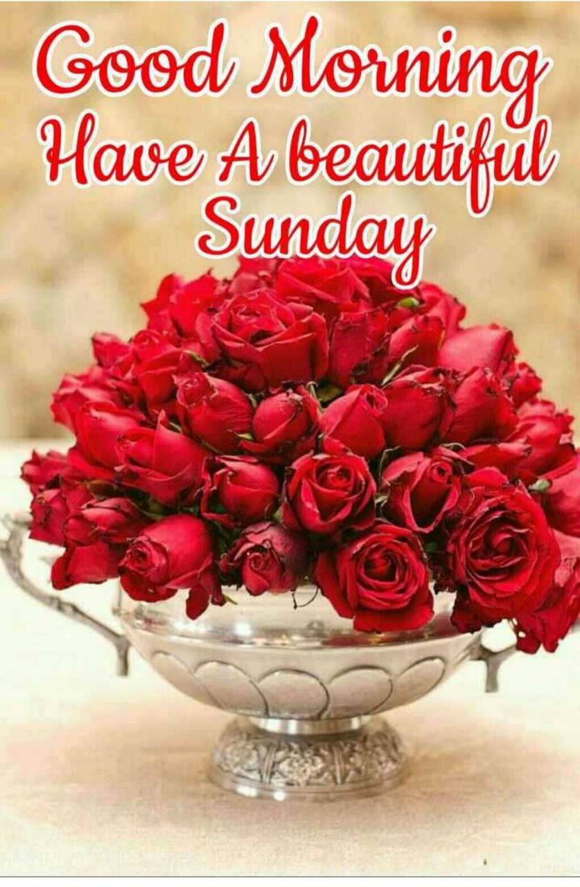 Hi My All Steemit Frends Good Morning Steemit