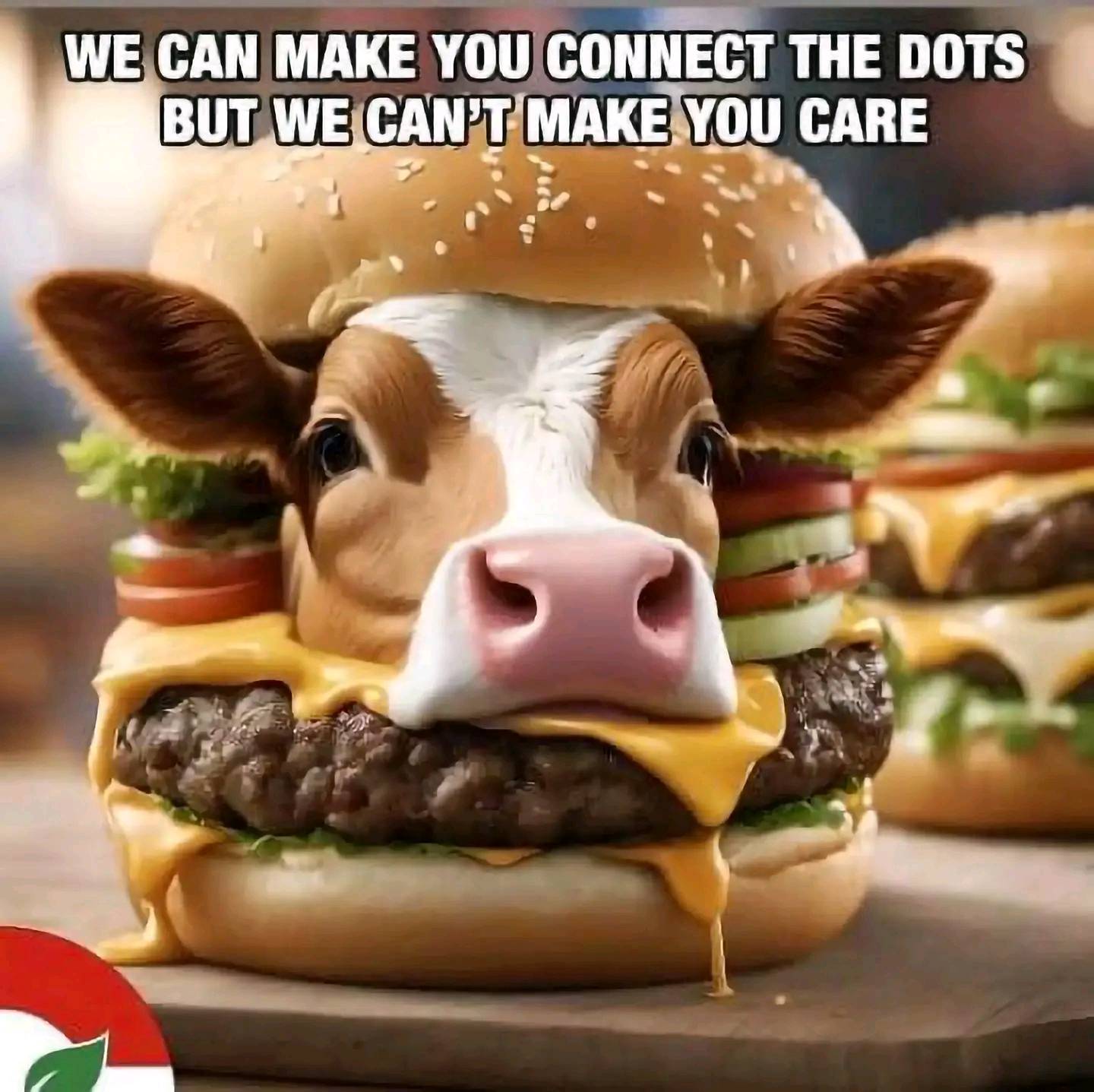 476959701_122110737146723381_715835690453266232_n.jpg