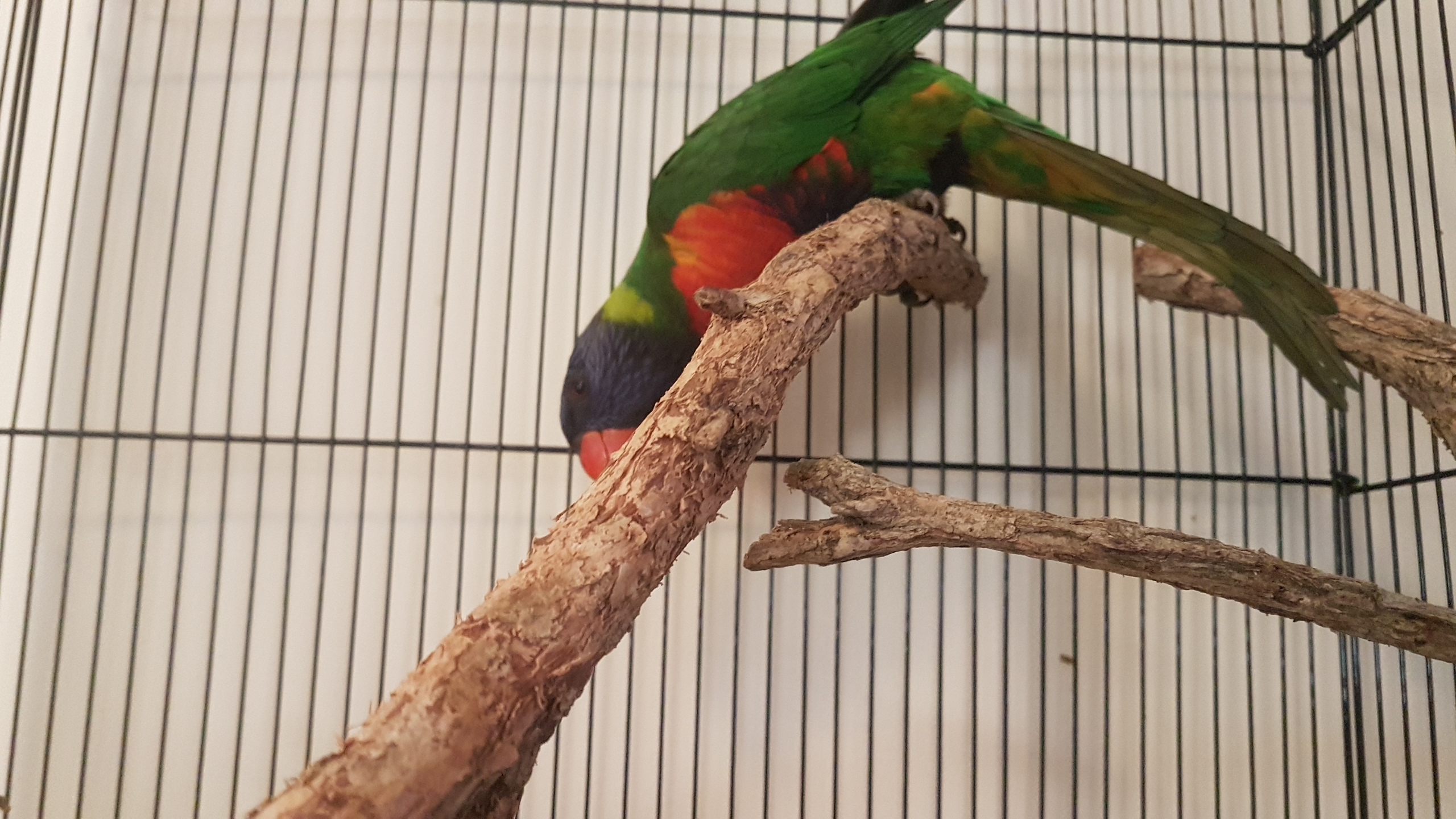 20190302_084222.jpg