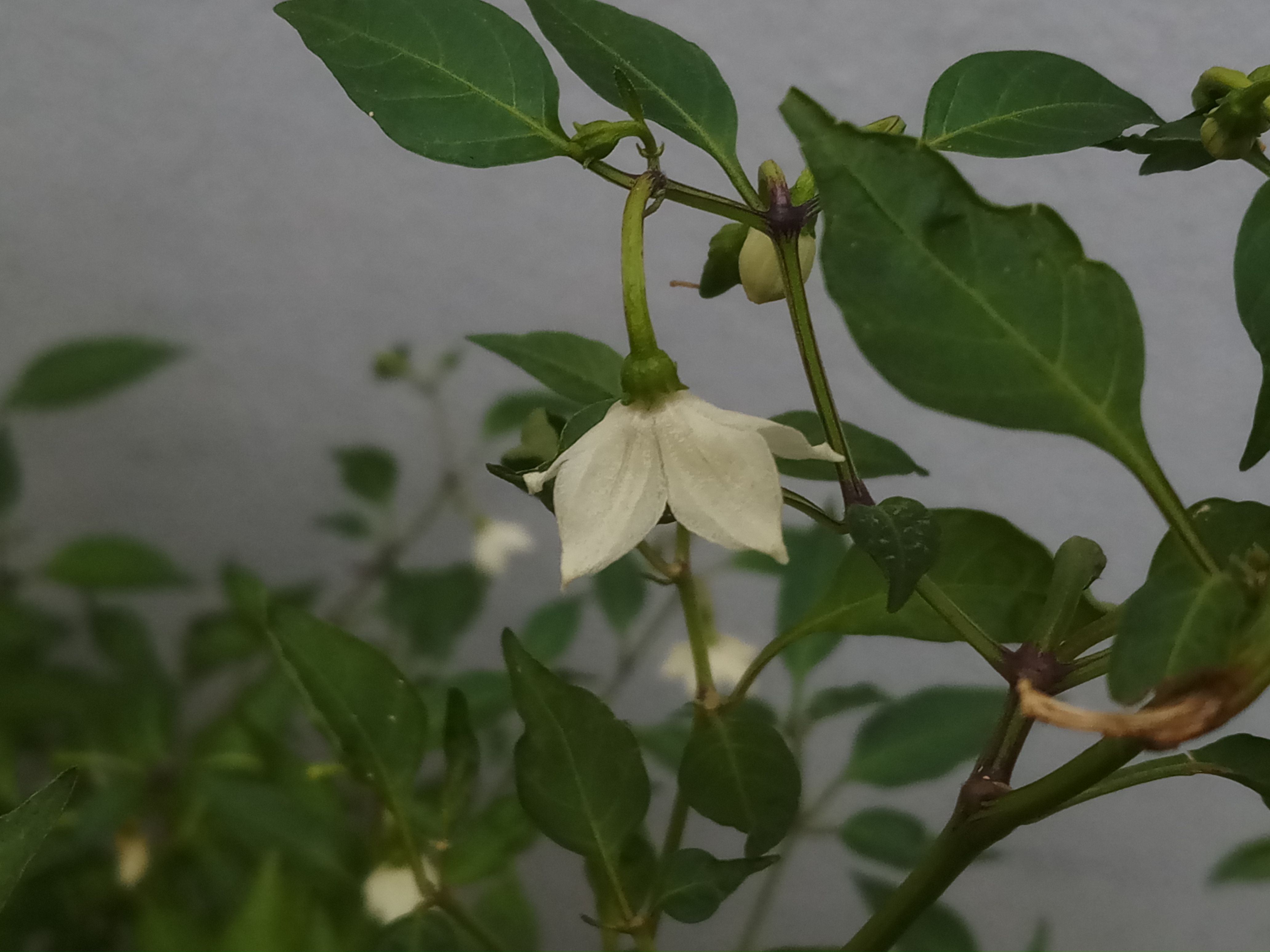 20191004_145959.jpg