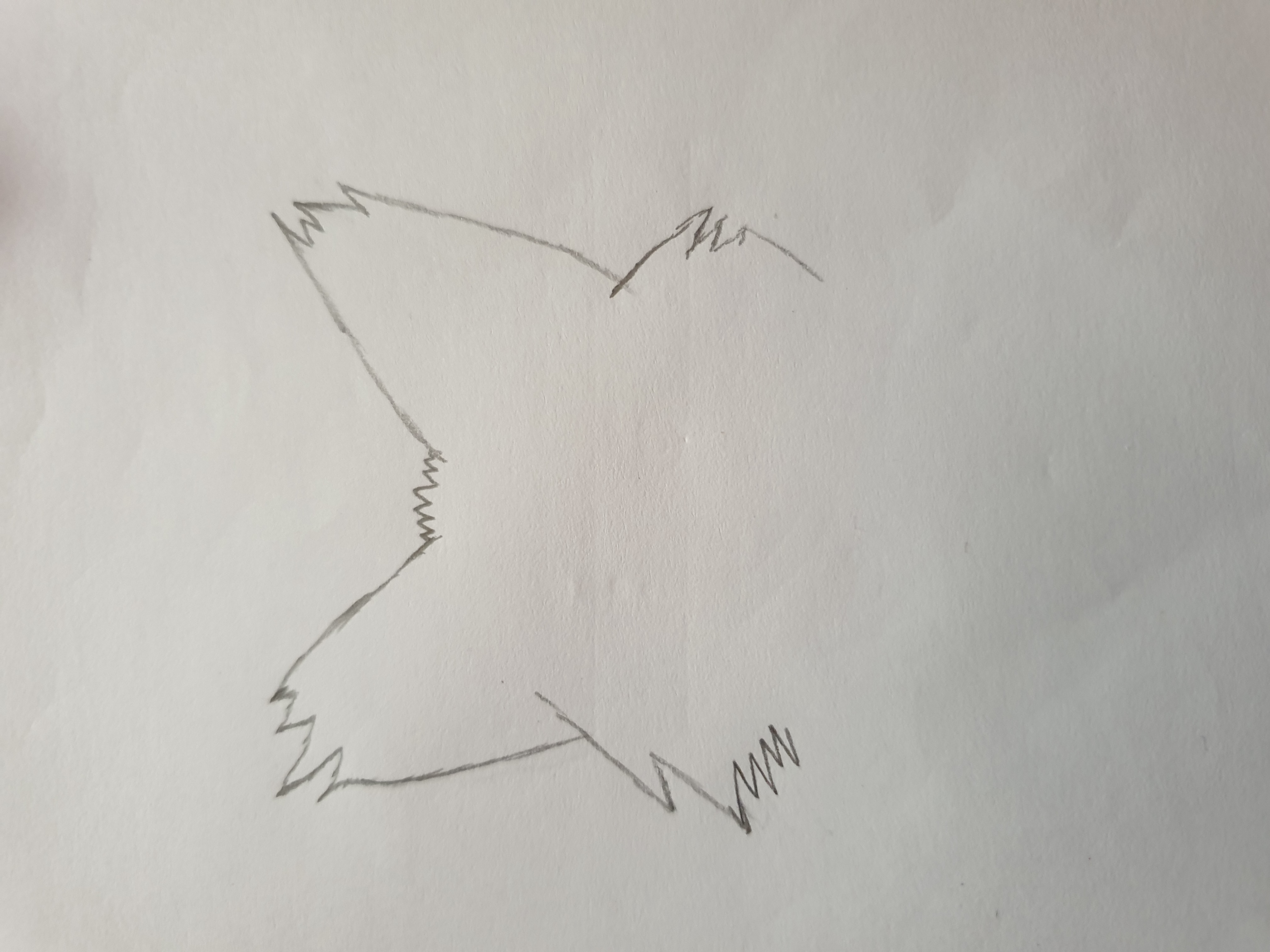 20220525_103656.jpg