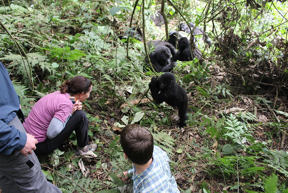 How to avoid long drive during Uganda gorilla trekking trip.jpg