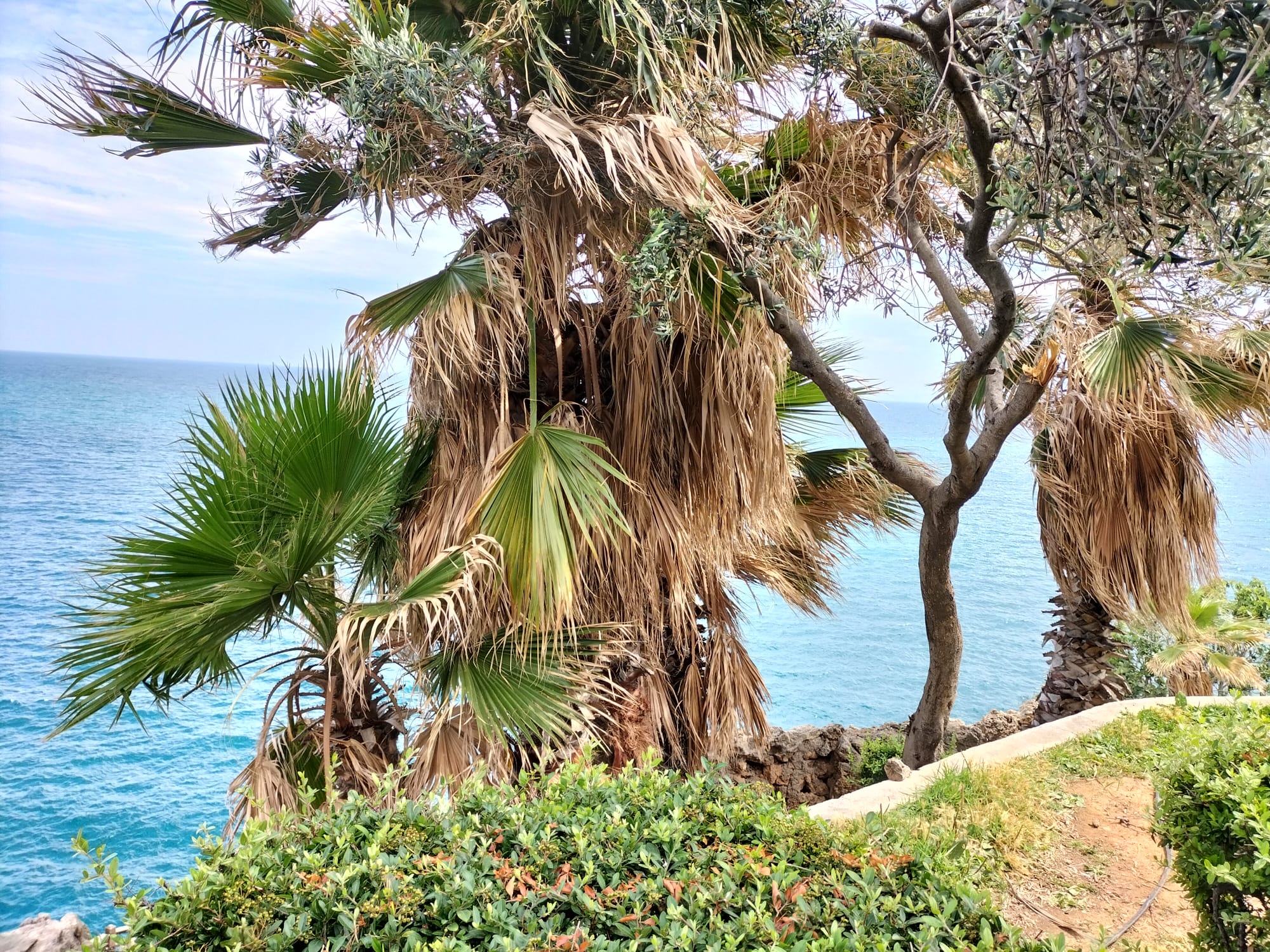 WhatsApp Image 2022-07-04 at 13.46.12 (1).jpeg