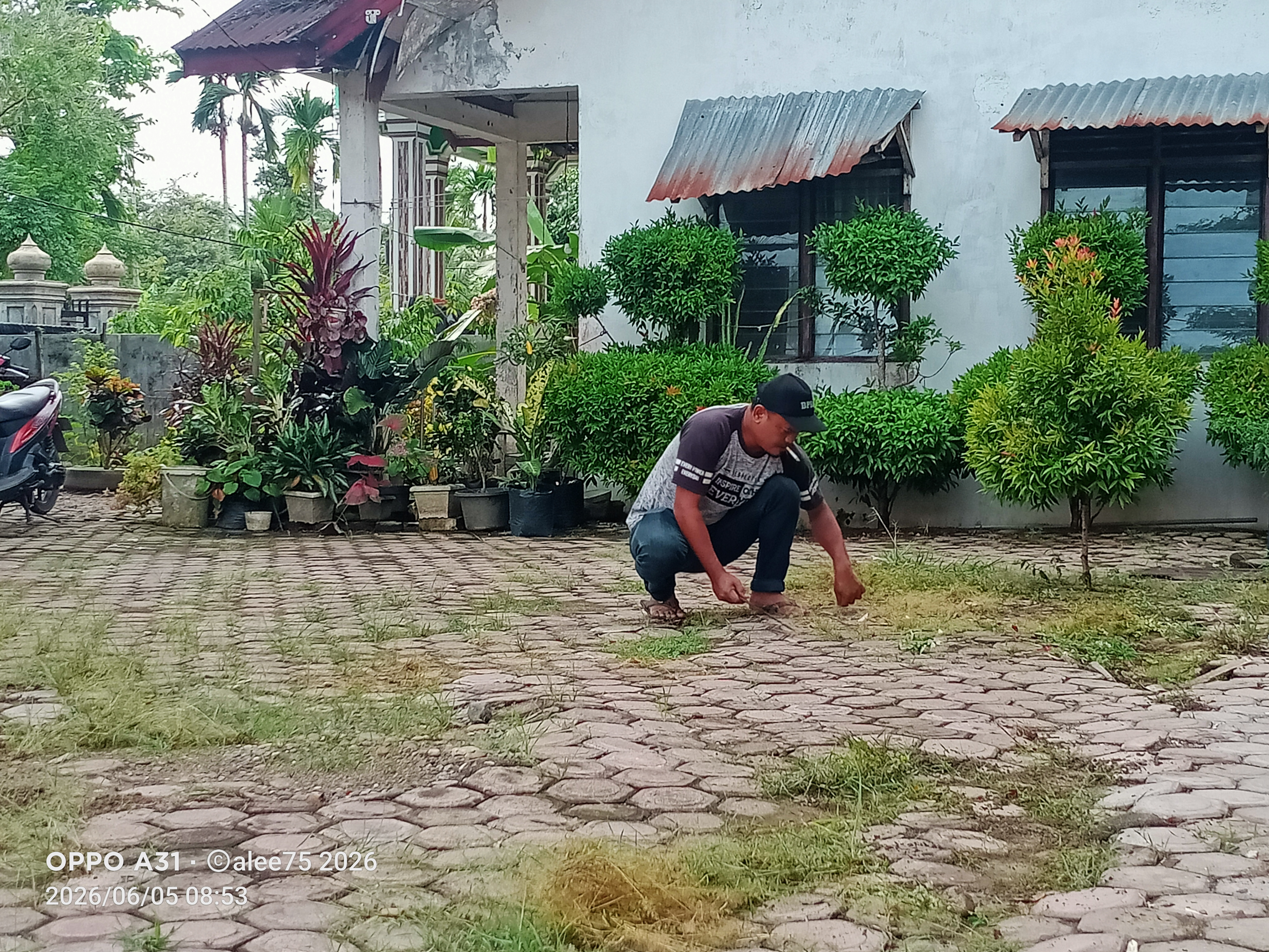 IMG20260605085333.jpg