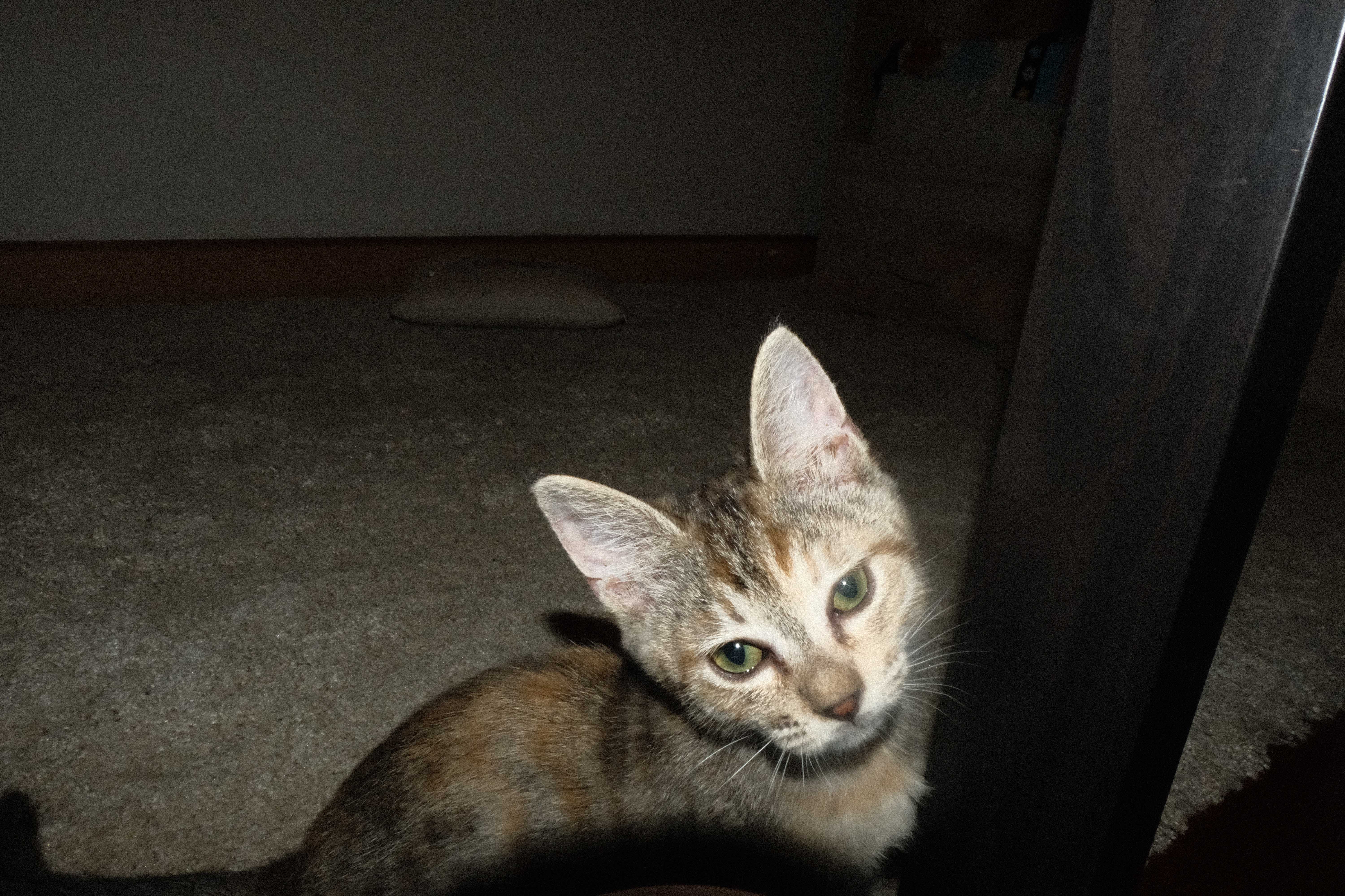 DSCF9849.jpg