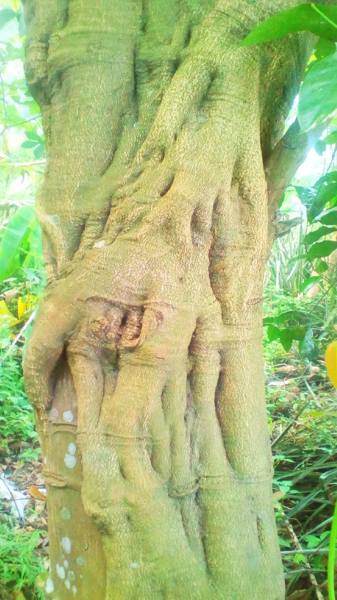 1555593594-picsay.jpg