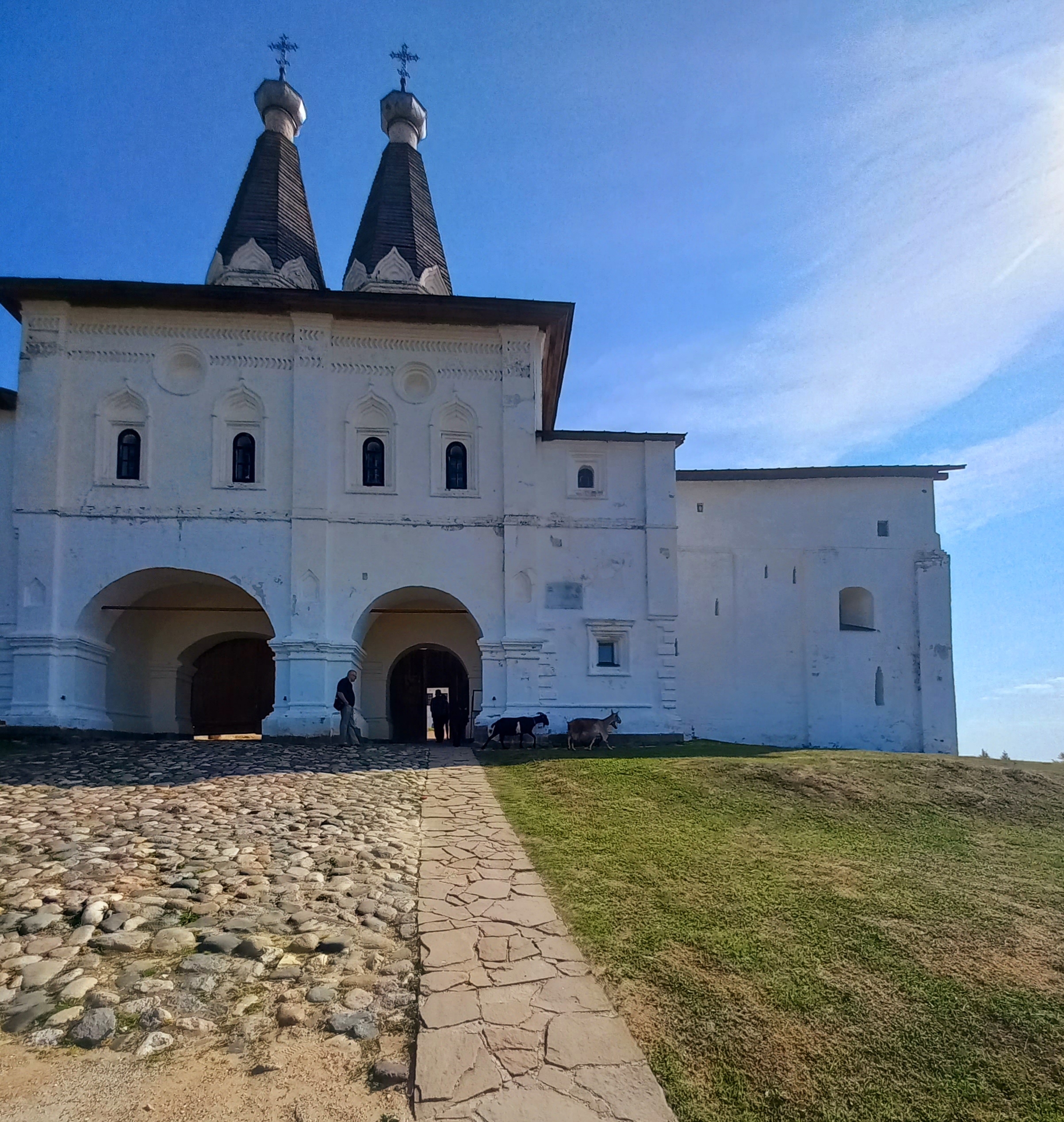 20210708_090653.jpg
