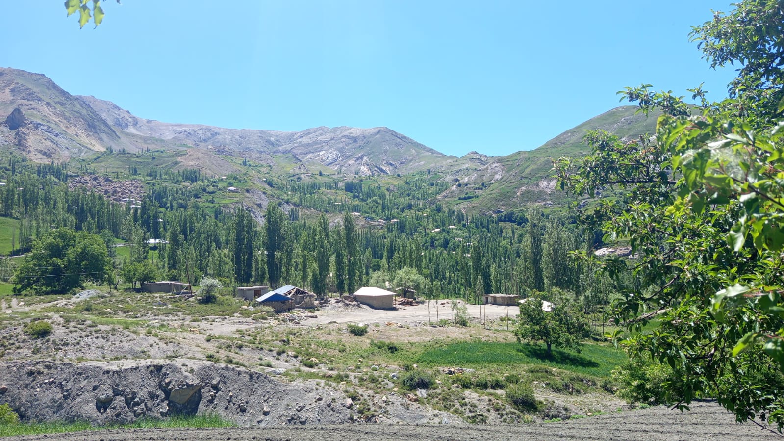 IMG-20260608-WA0087.jpg