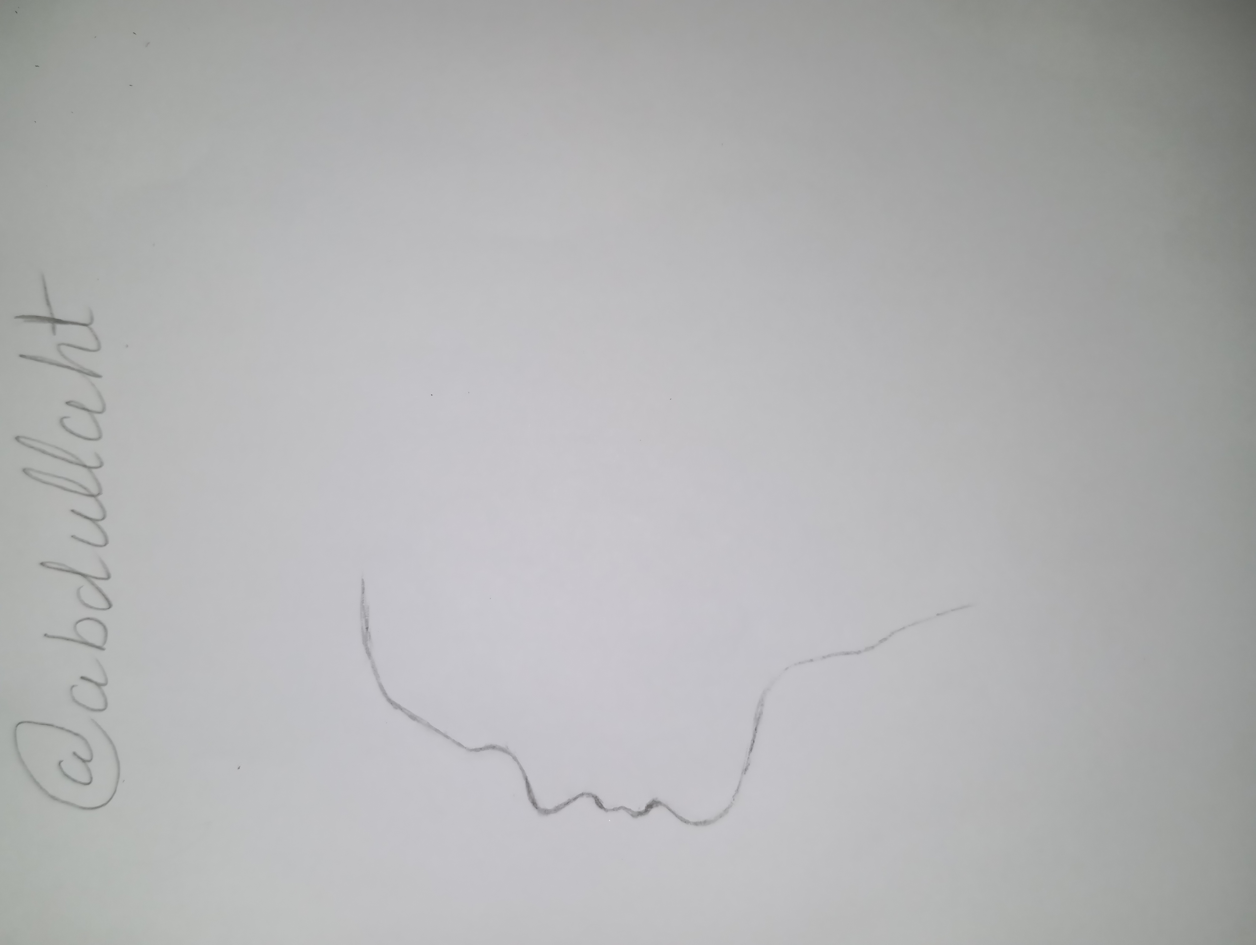 1000211317.jpg