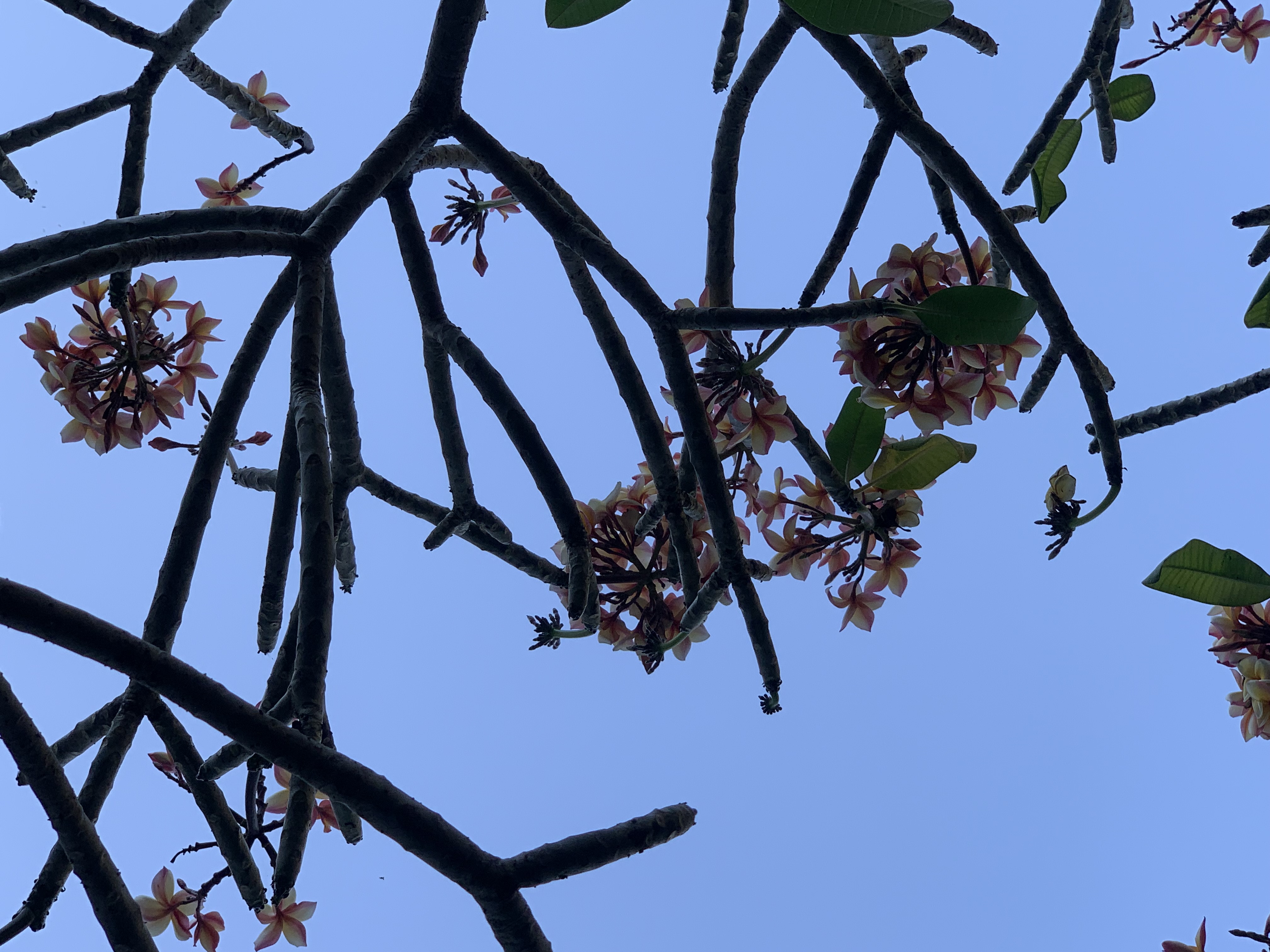 nature811.jpg