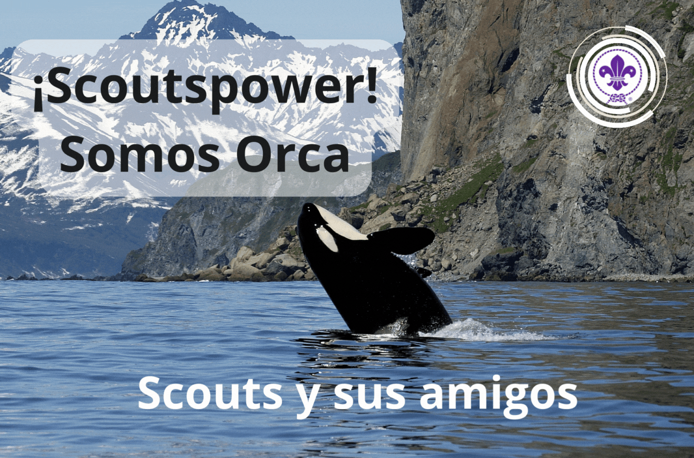 Scouts y sus amigos (2).gif