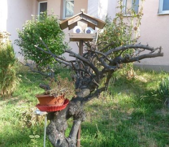 Leprechaun Čimísek and the House of Evil Fairies by @krakonos