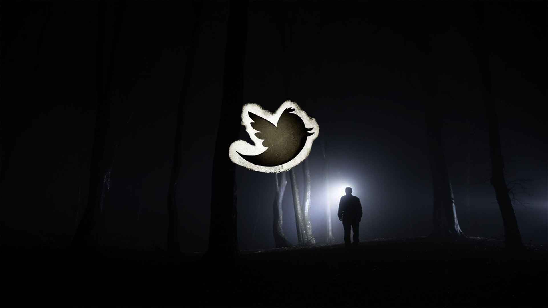 Twitter Dark Forest proxy.duckduckgo.com.jpeg