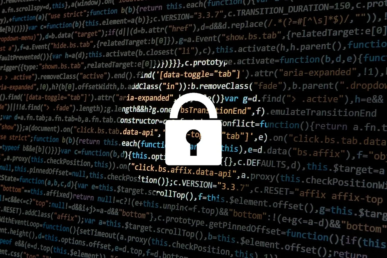 hacker-1944688_1280 (11).webp
