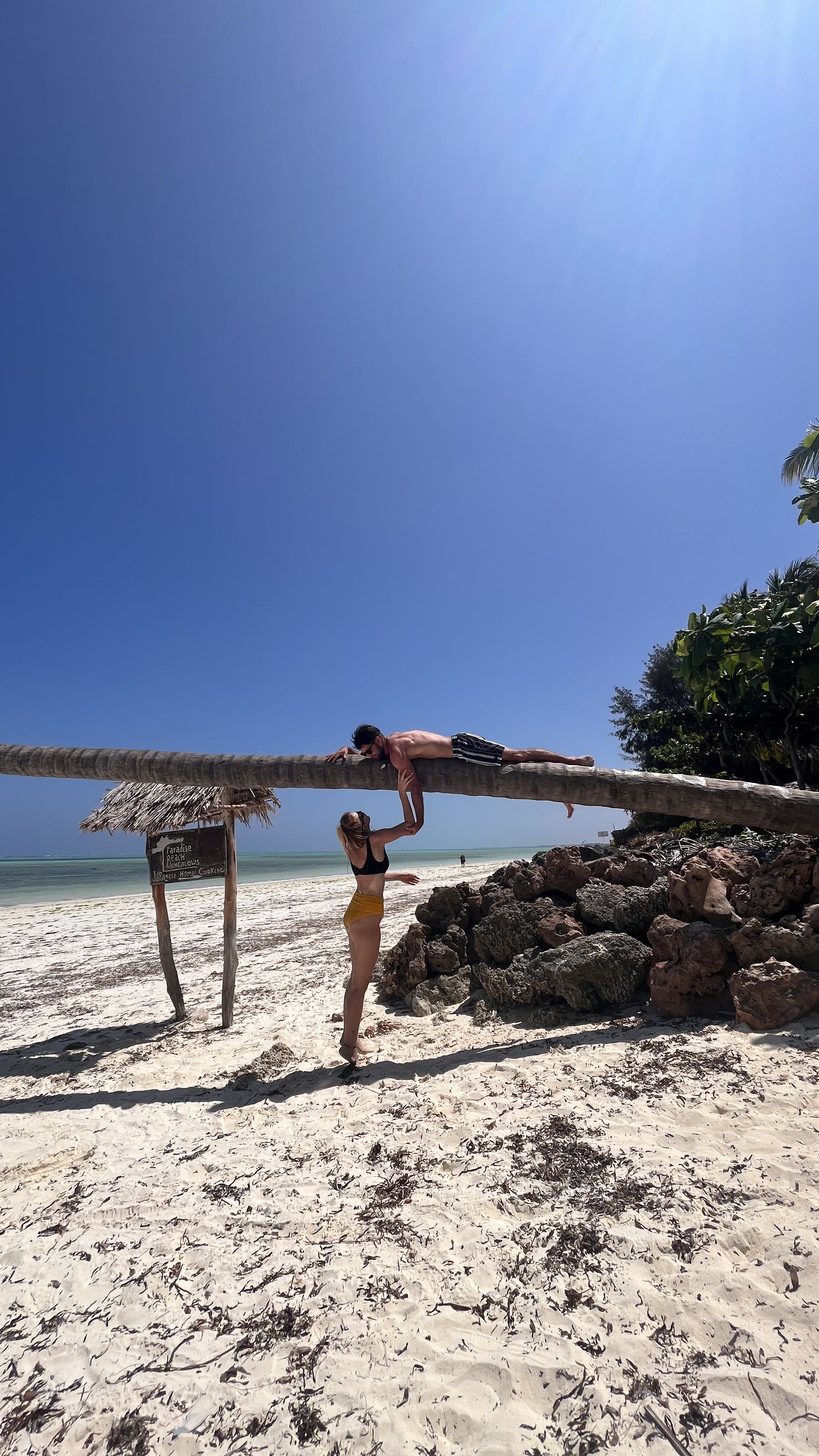 D2679AF1-037C-4605-AF45-752AA172CD96.jpeg