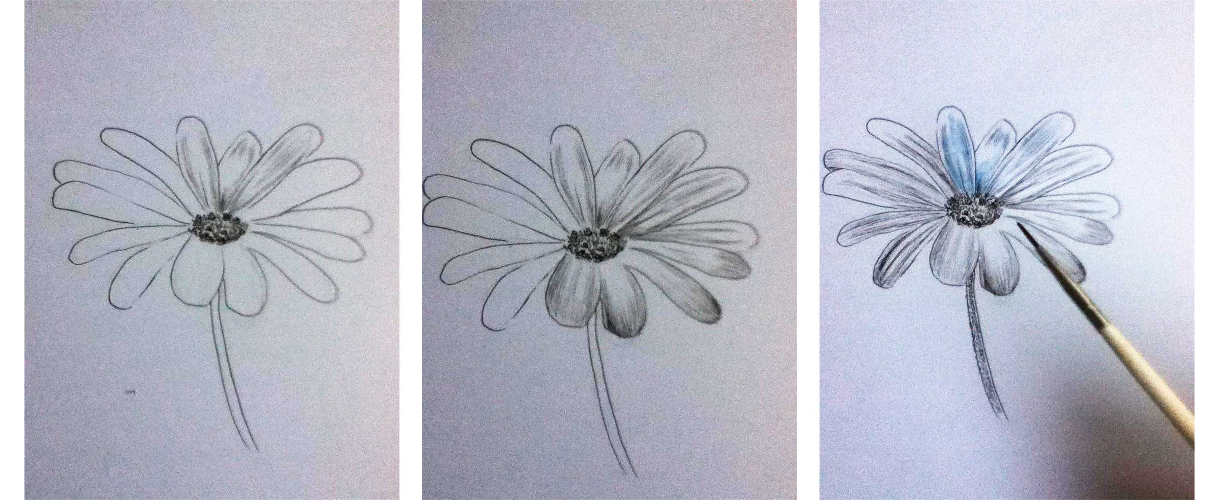 flor-proceso.jpg